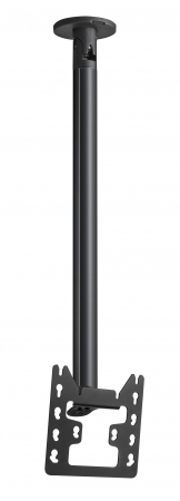 CT243022B Bildschirm Deckenhalterung
